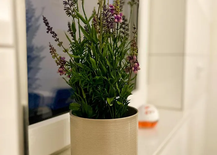 Appartement Moderne Mit Balkon - Nahe Kurpark & Messezentrum *